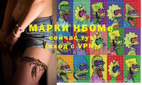 молекула духа Елабуга