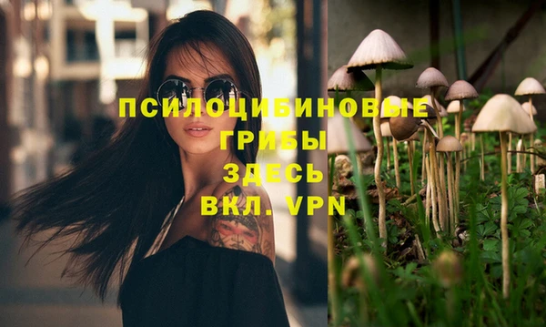 синтетический гашиш Дмитров
