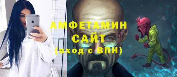 молекула духа Елабуга