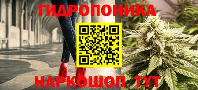 apvp Краснодар