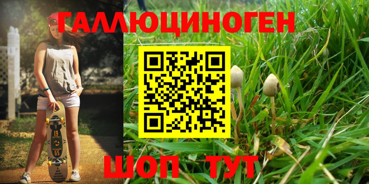 Галлюциногенные грибы Psilocybine cubensis  Вход с VPN  Сибай 