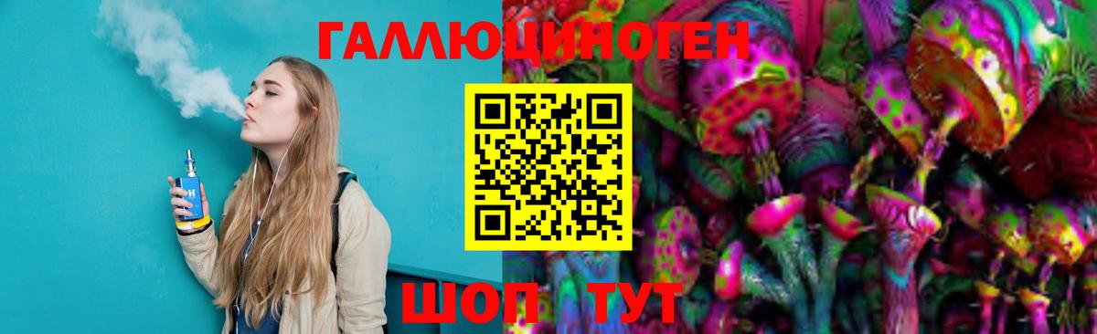 Псилоцибиновые грибы мицелий  Псилоцибиновые грибы Psilocybe  Сибай 